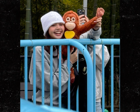 Lisa Punch Monkey