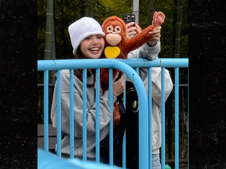 Lisa Punch Monkey