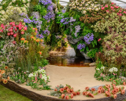 Chelsea Flower Show