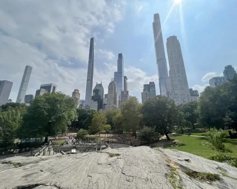 Rocky Central Park